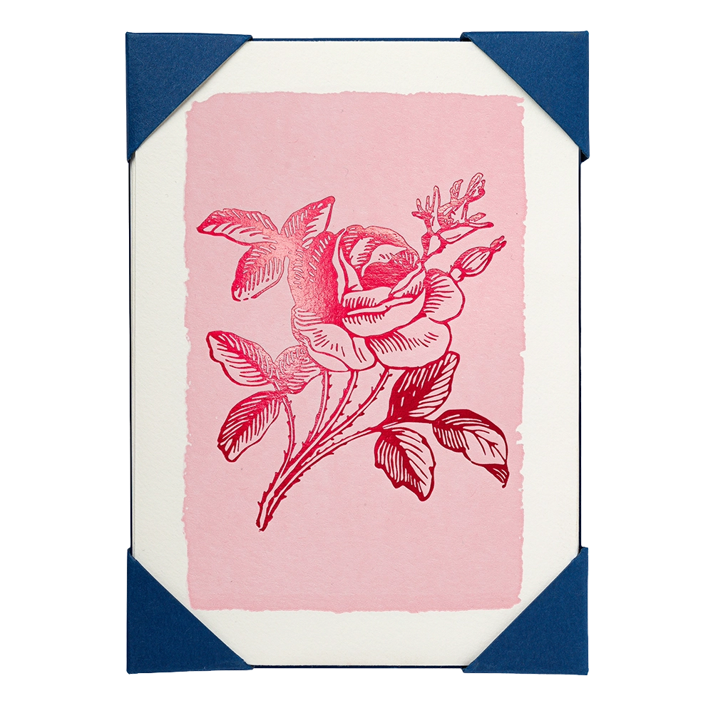 Archivist Gallery | Notelets - Pink Rose