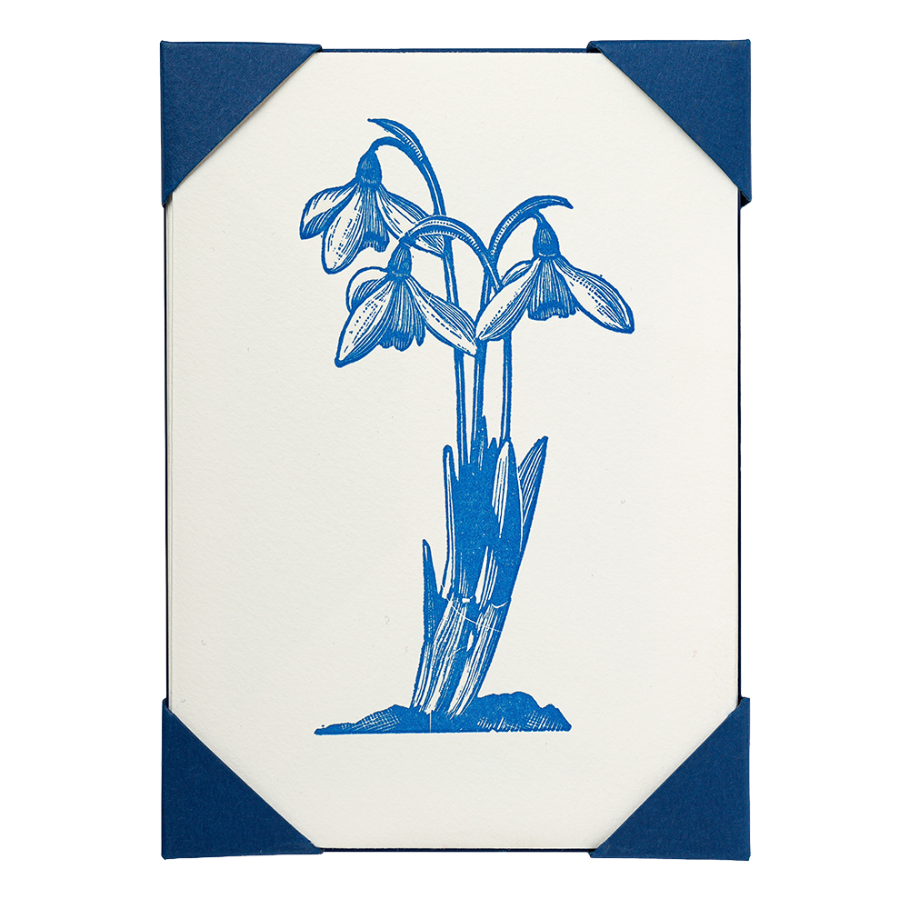 Archivist Gallery | Notelets - Snowdrop
