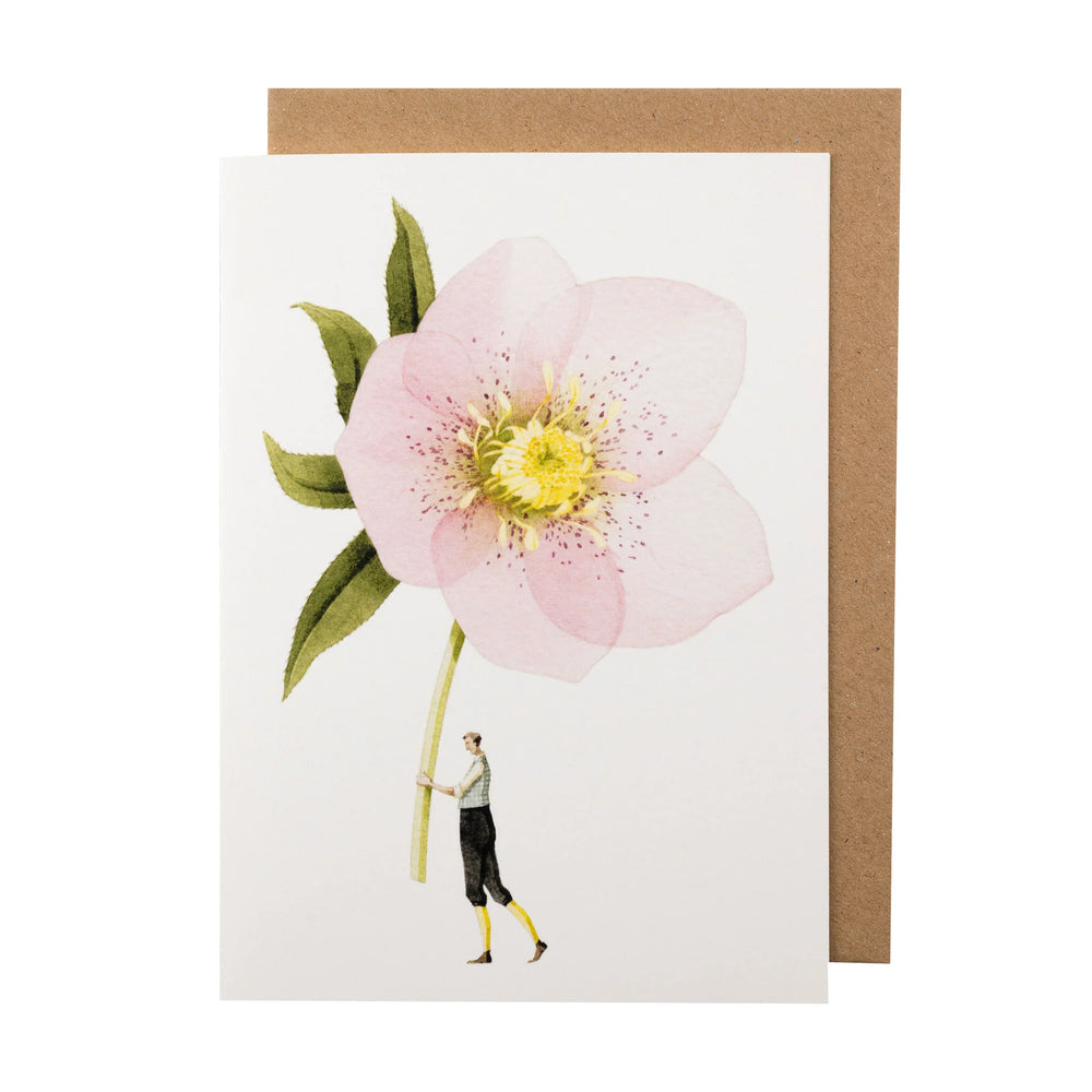 Laura Stoddart | Greeting Card - Pink Hellebore