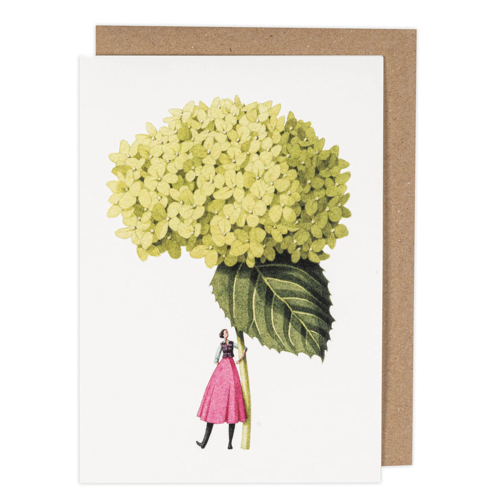 Laura Stoddart | Greeting Card - Hydrangea Annabelle