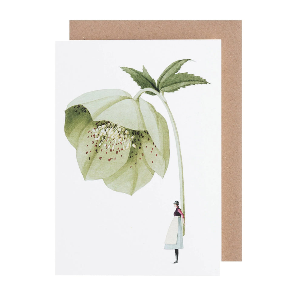 Laura Stoddart | Greeting Card - Hellebore