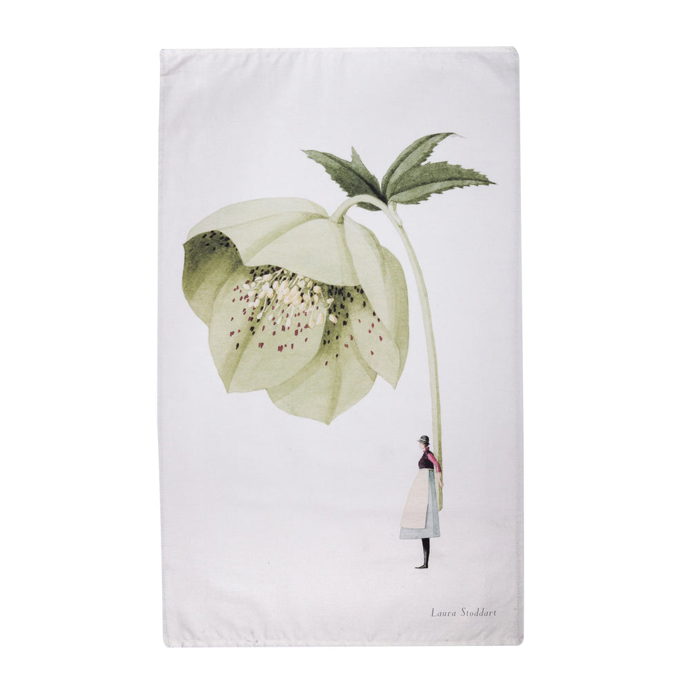 Laura Stoddart | Tea Towel - Green Hellebore