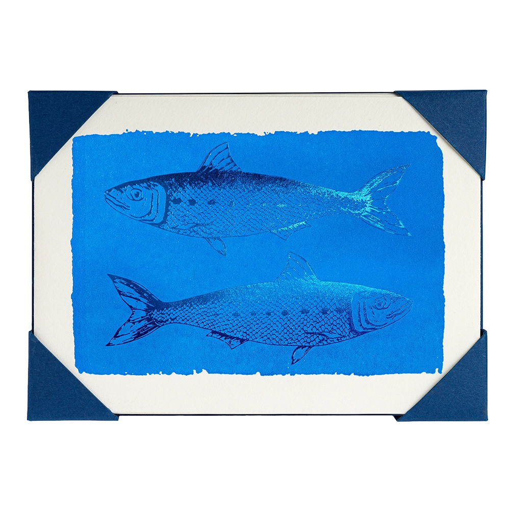 Archivist Gallery | Notelets - Sardines