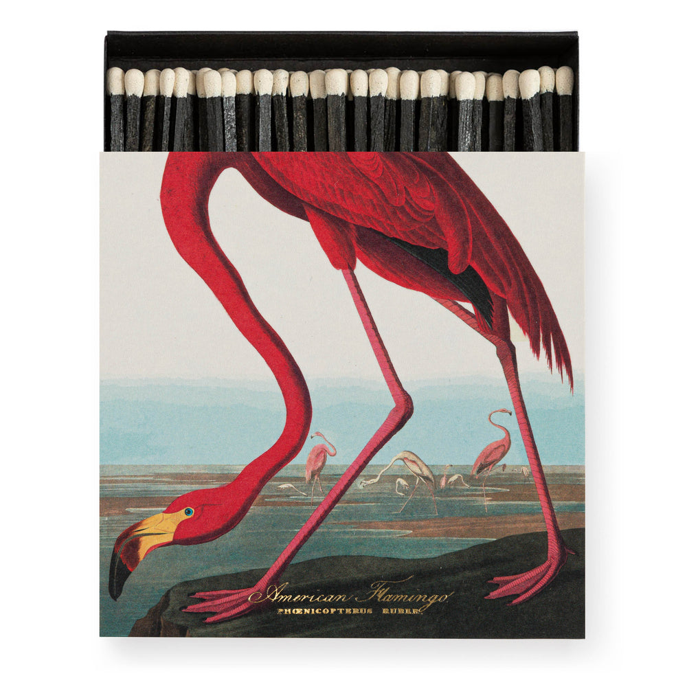 Archivist Gallery | Square Matchbox - American Flamingo
